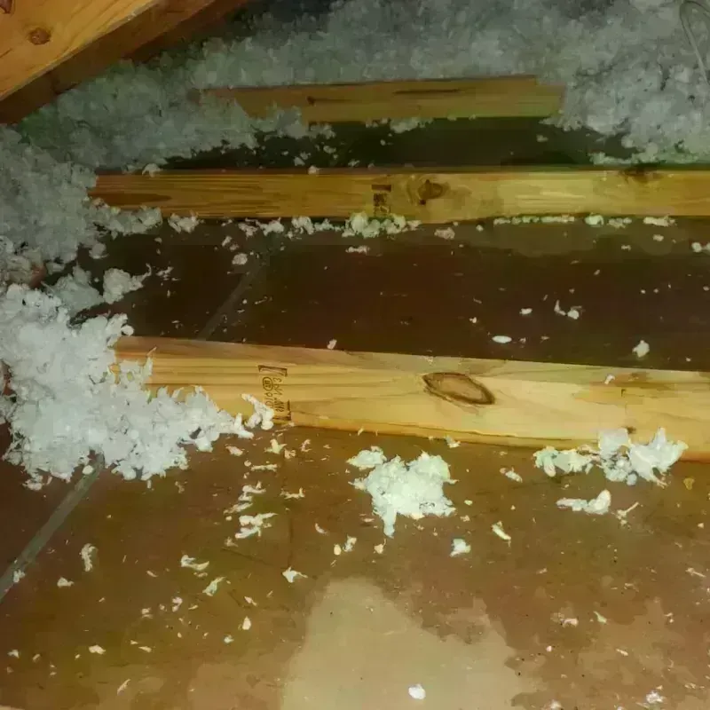 Attic Water Damage in Yale, MI