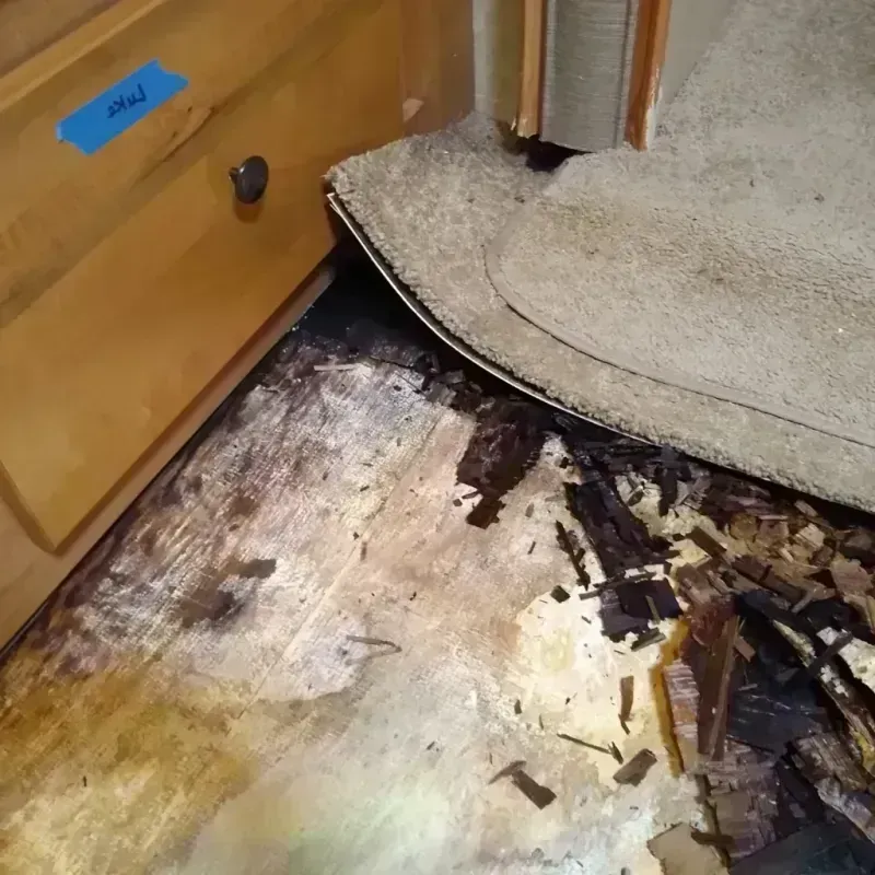 Wood Floor Water Damage in Yale, MI